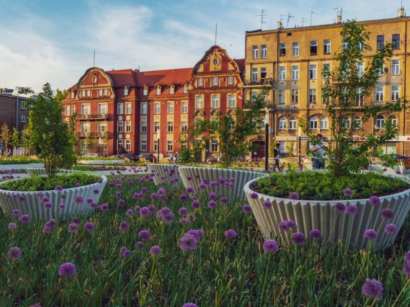 Gliwice intensywnie się zazieleniają